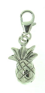 925 silver charm